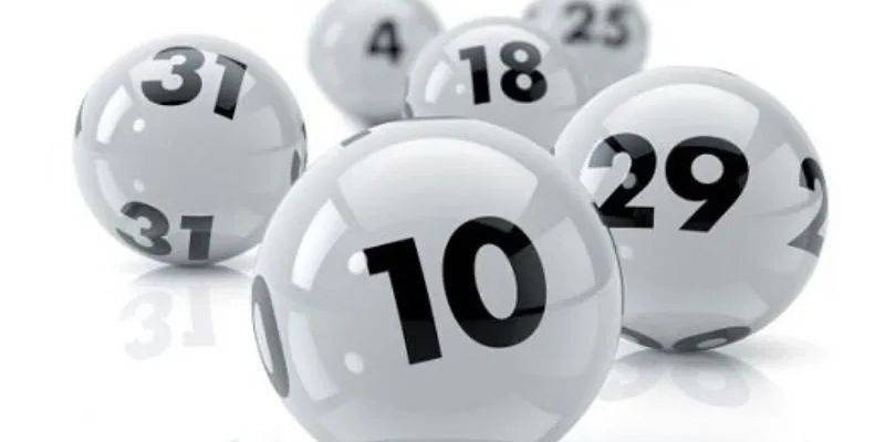 Nuôi lô tiếp sức