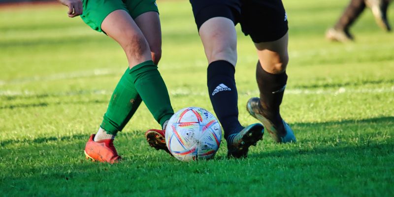 Tỷ lệ kèo tham khảo